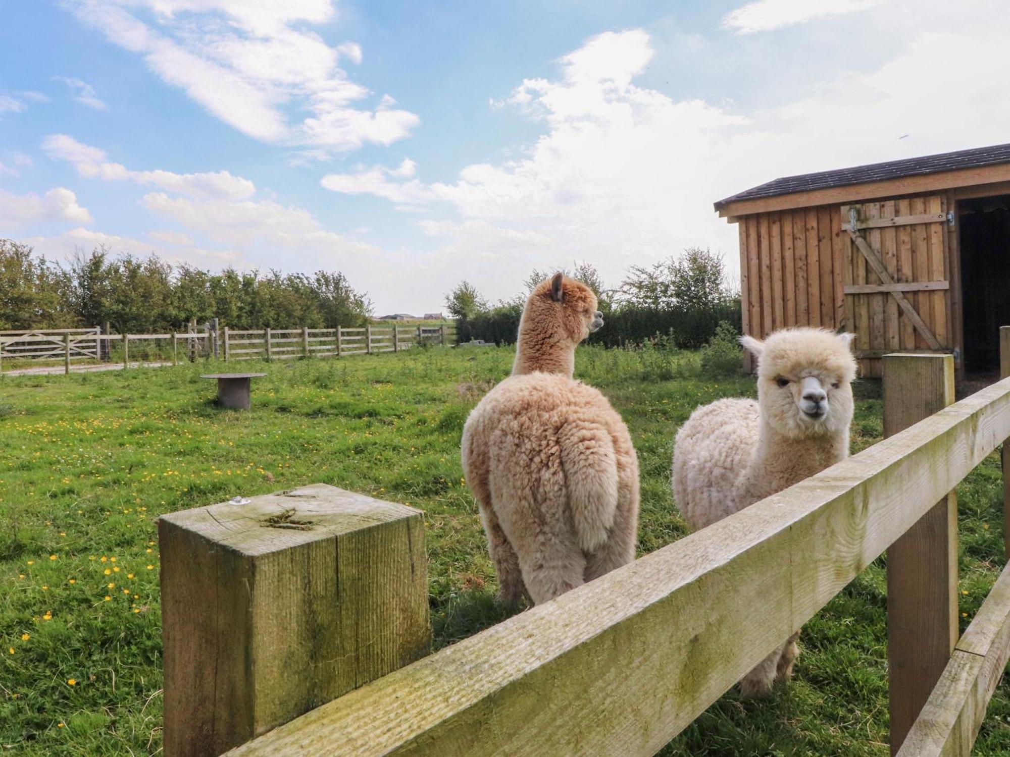 Curlew Corner Villa Lancaster Dış mekan fotoğraf